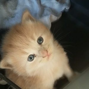 Meet your Posher, April